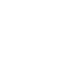 LevanteAU